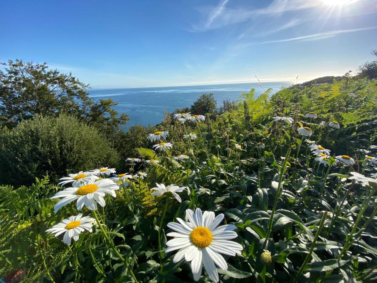 Rooms At Babbacombe Torquay Buitenkant foto